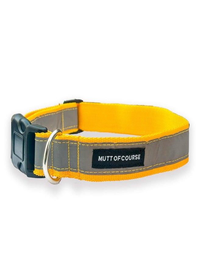 Mutt of Course طوق عاكس (للكلاب المجتمعية) (10) - Image 2